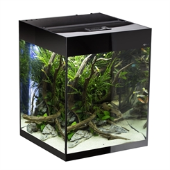 Glossy Cube 135 liter Akvarie - AquaEl